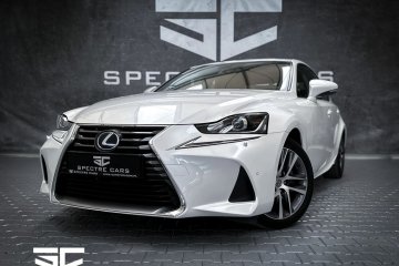 Business Edition \ Salon PL \ serwisowany \ Niski przebieg